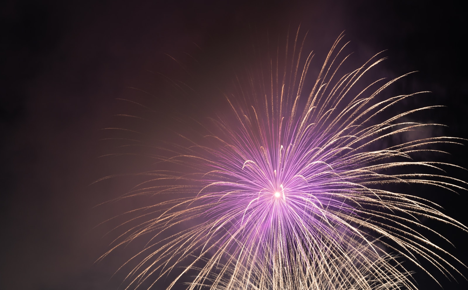 white and pink fireworks on sky